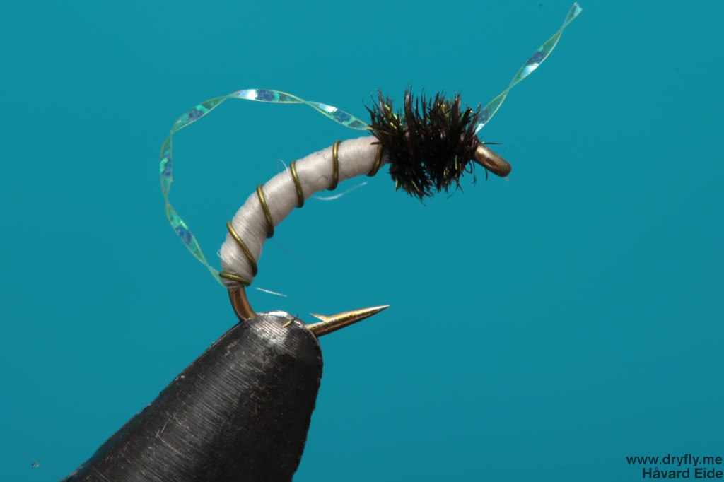 dryfly.me.2013.12.30.peacock_flash_midge_white_1