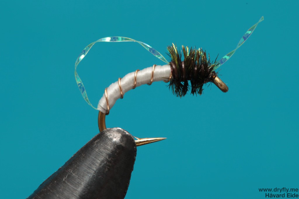 dryfly.me.2013.12.30.peacock_flash_midge_white_3