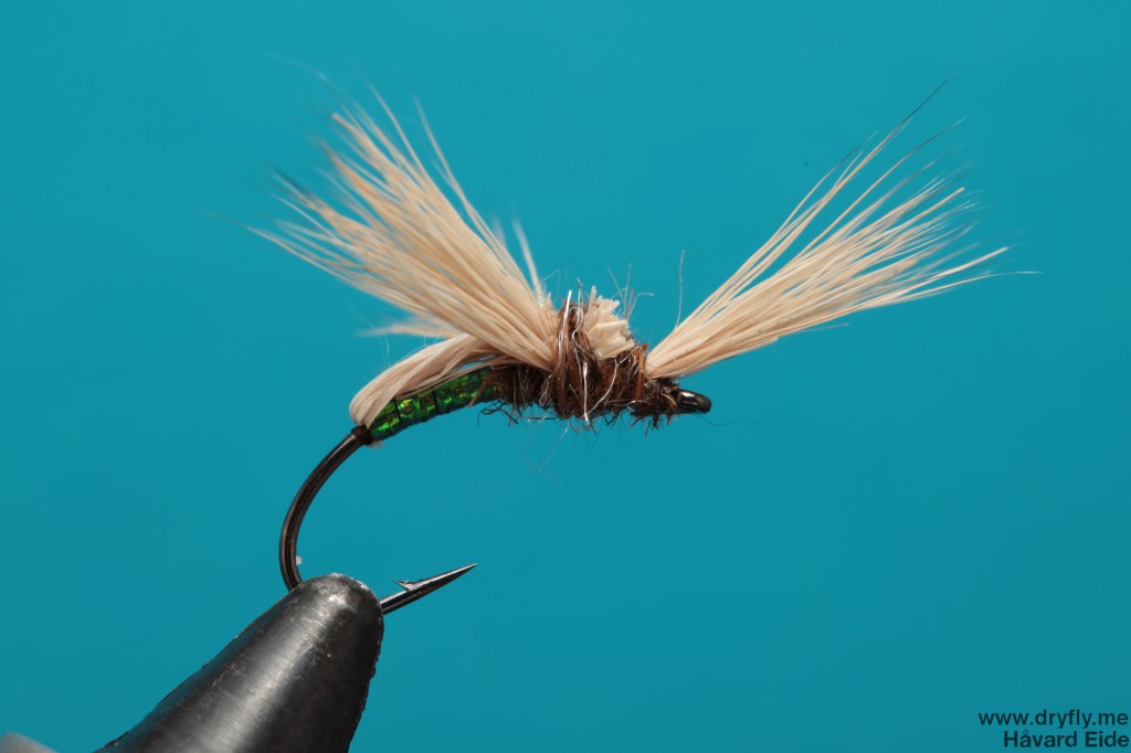 dryfly.me.2013.12.31.3-wing