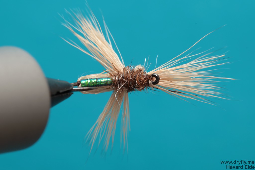 dryfly.me.2013.12.31.3-wing_bottom
