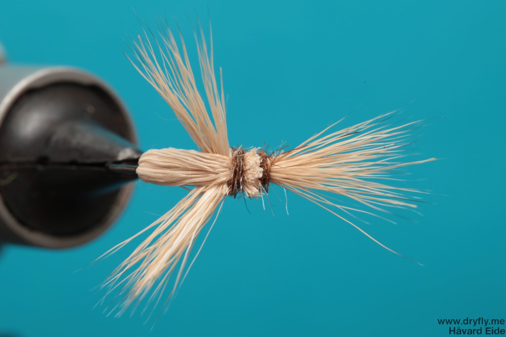 dryfly.me.2013.12.31.3-wing_top