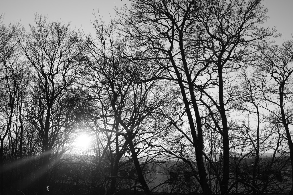 2014-02.black_and_white