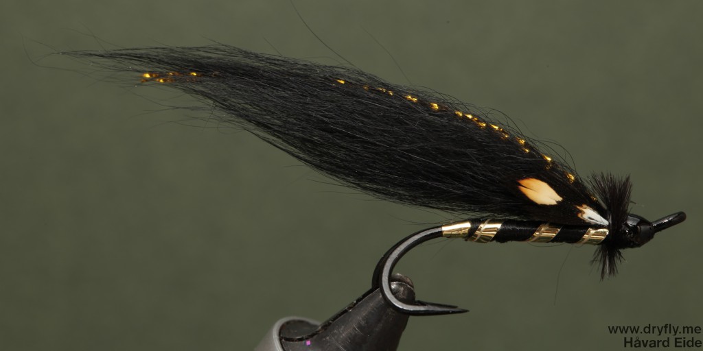 dryfly.me.2014-03.self_portrait