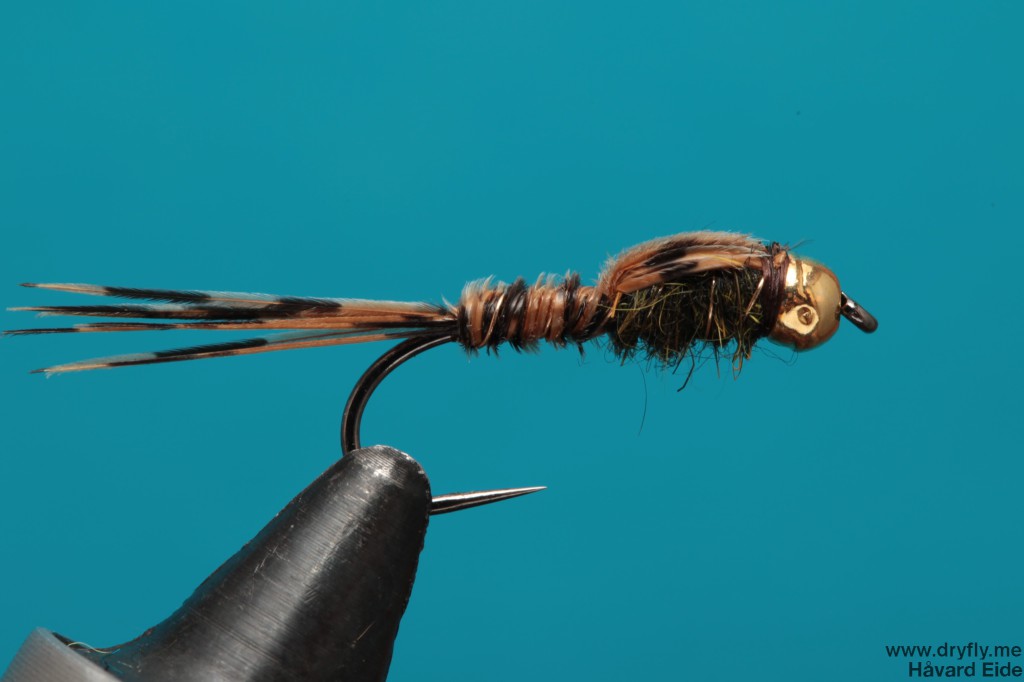 dryfly.me.2014.01.02.pt_gold