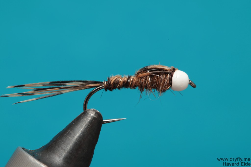 dryfly.me.2014.01.02.pt_white