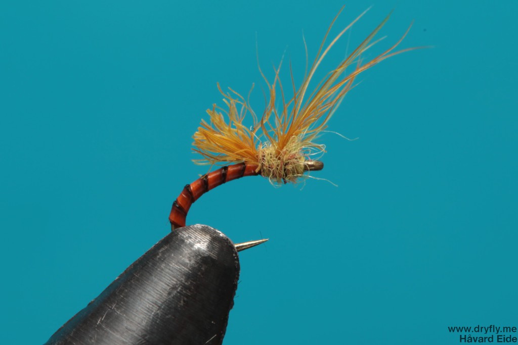 dryfly.me.2014.01.04.snowshoe