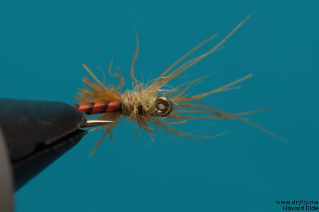 dryfly.me.2014.01.04.snowshoe_bottom