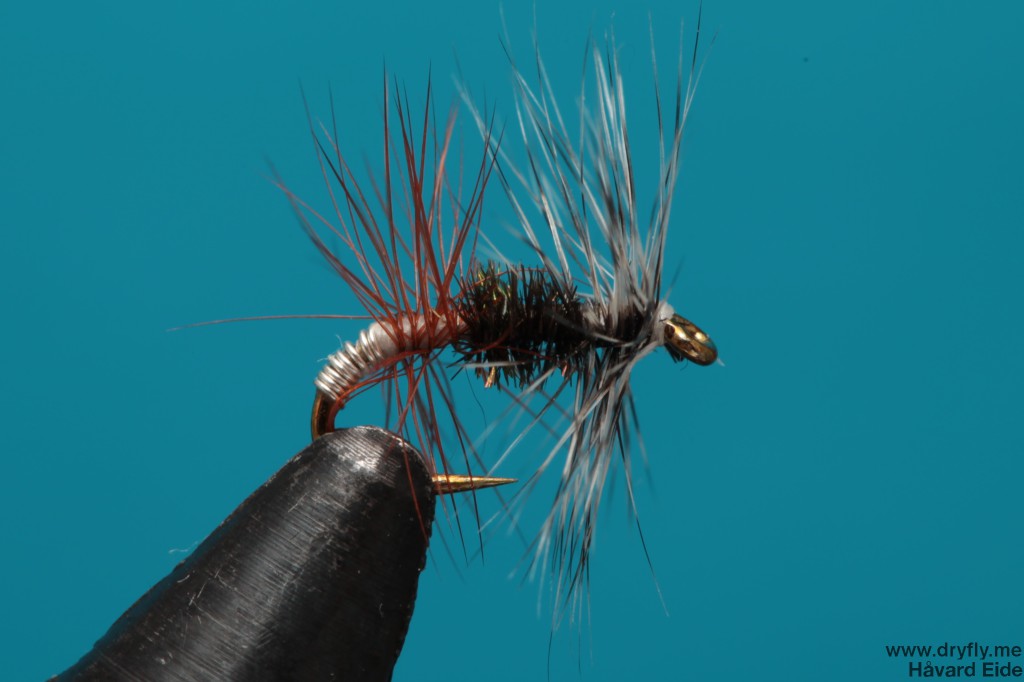 dryfly.me.2014.01.06.renegade