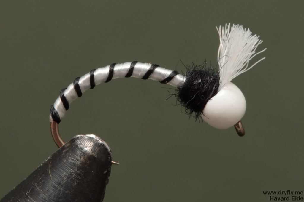 dryfly.me.2014.01.12.black_and_white