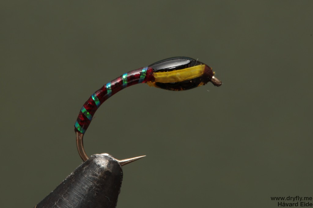 dryfly.me.2014.01.13.red_buzzer_yellow_cheek