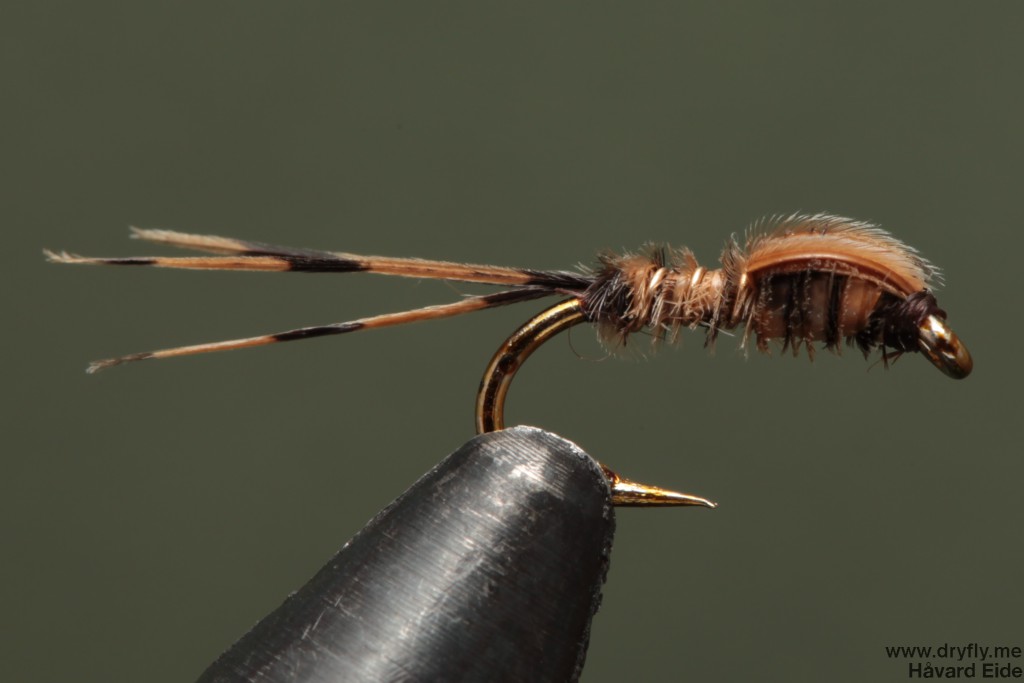 dryfly.me.2014.01.17.pheasant_tail_18