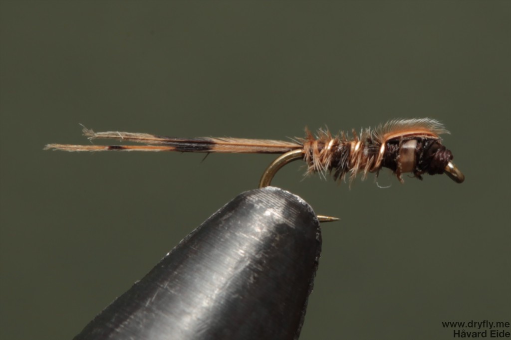 dryfly.me.2014.01.17.pheasant_tail_24