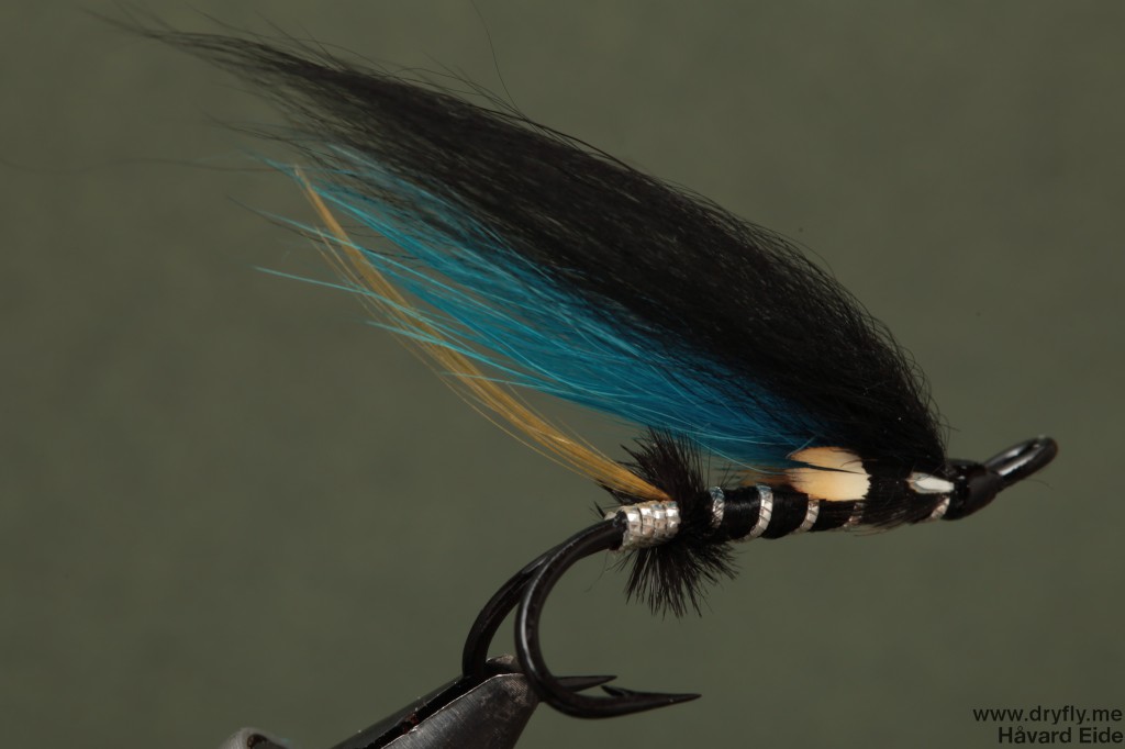 dryfly.me.2014.01.18.double_salmon