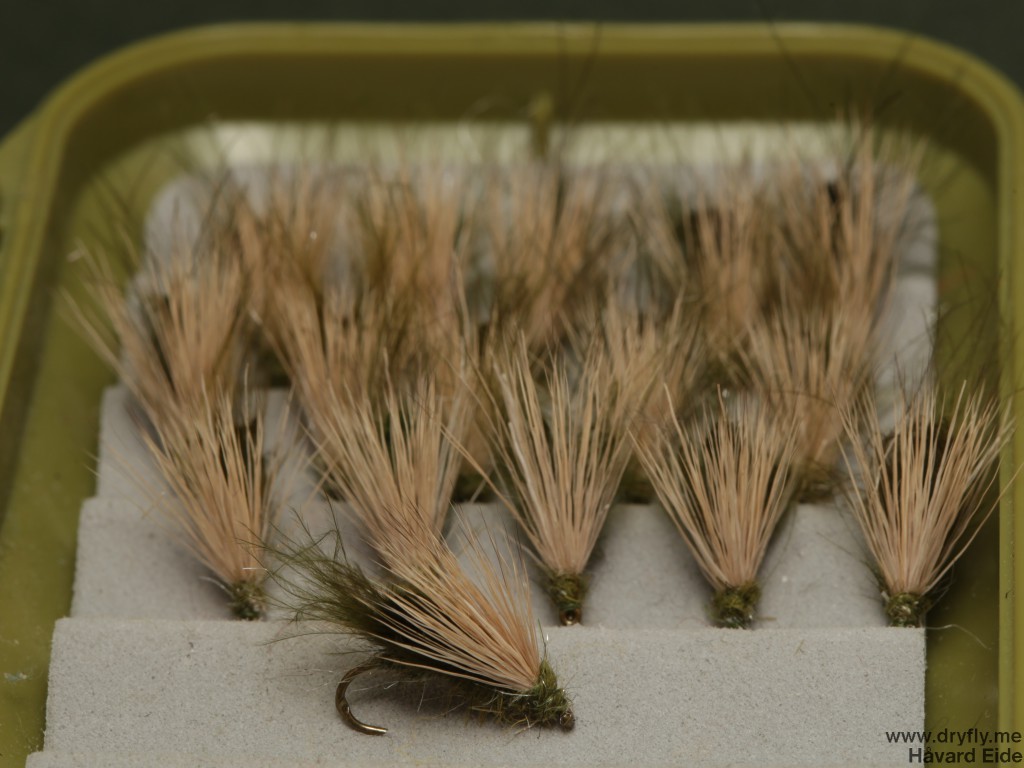 dryfly.me.2014.01.29.cdc_deer