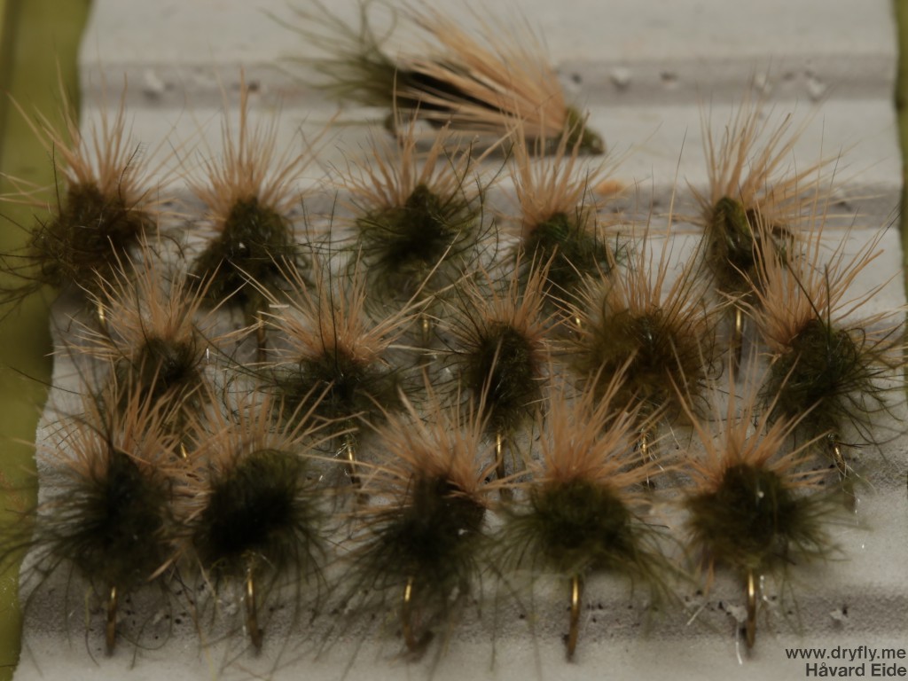 dryfly.me.2014.01.29.cdc_deer_back