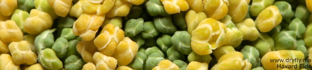 dryfly.me.2014-5.vegetable_broccoli