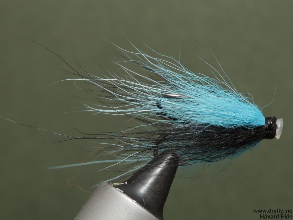 dryfly.me.2014.02.11.treble_blue