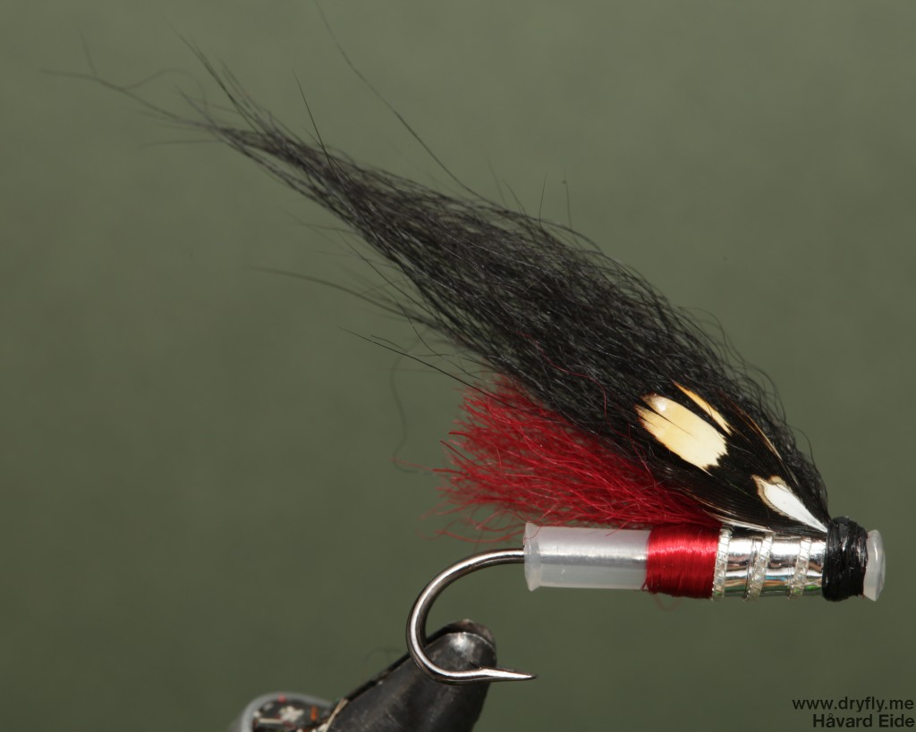 dryfly.me.2014.02.13.double_red