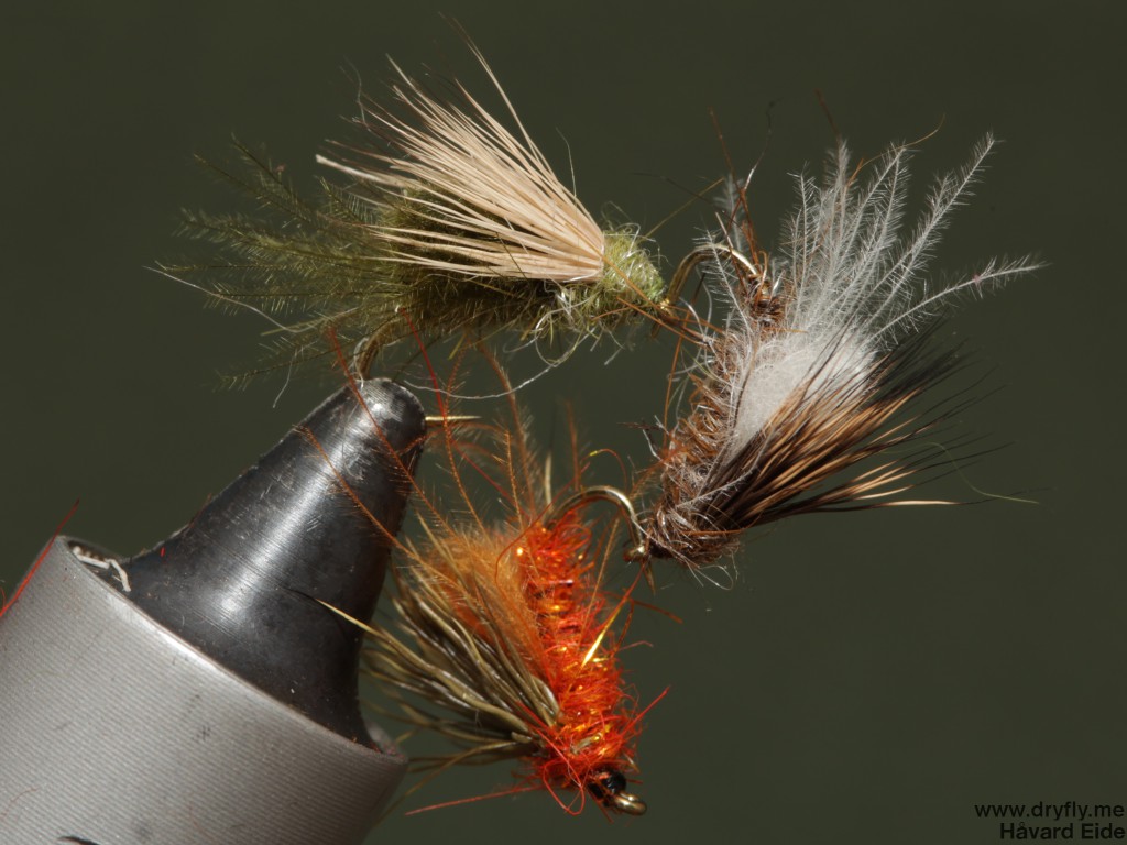 dryfly.me.2014.03.03.dry_individual