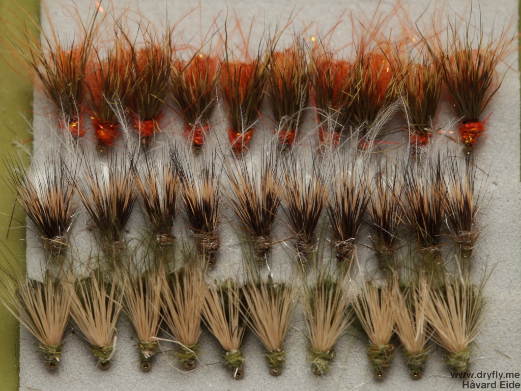 dryfly.me.2014.03.03.dry_top