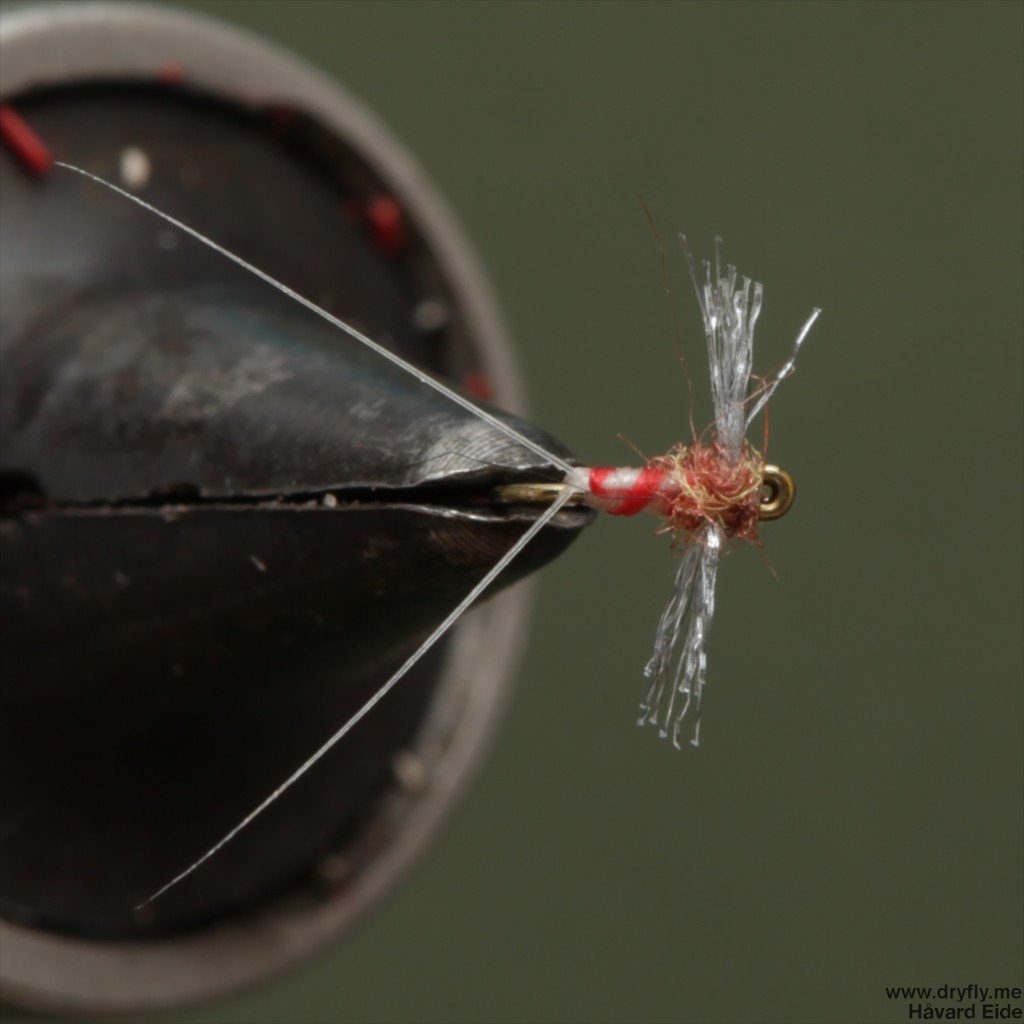 dryfly.me.2014.03.11.caenis_30