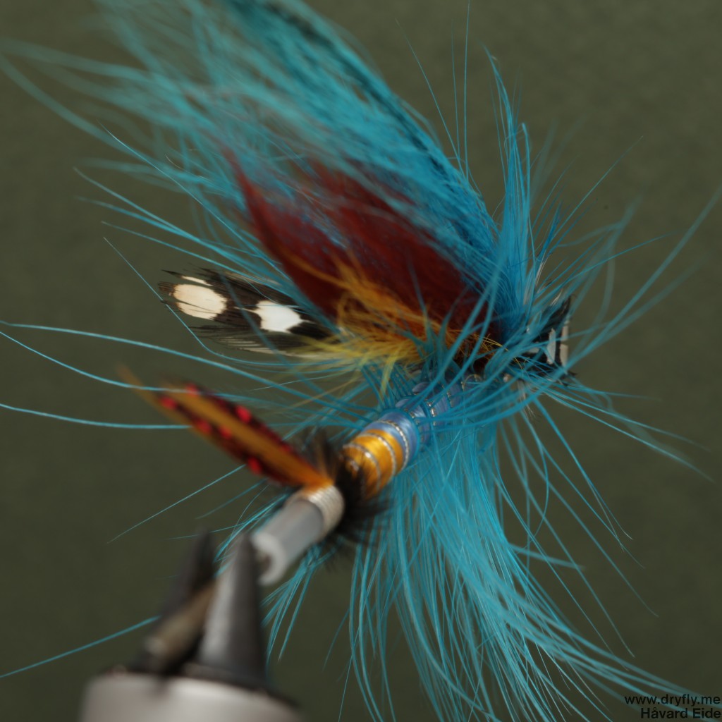 dryfly.me.2014.03.13.blue_high_back