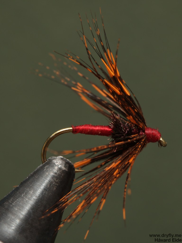 kvitre.no.2014.02.21.spider