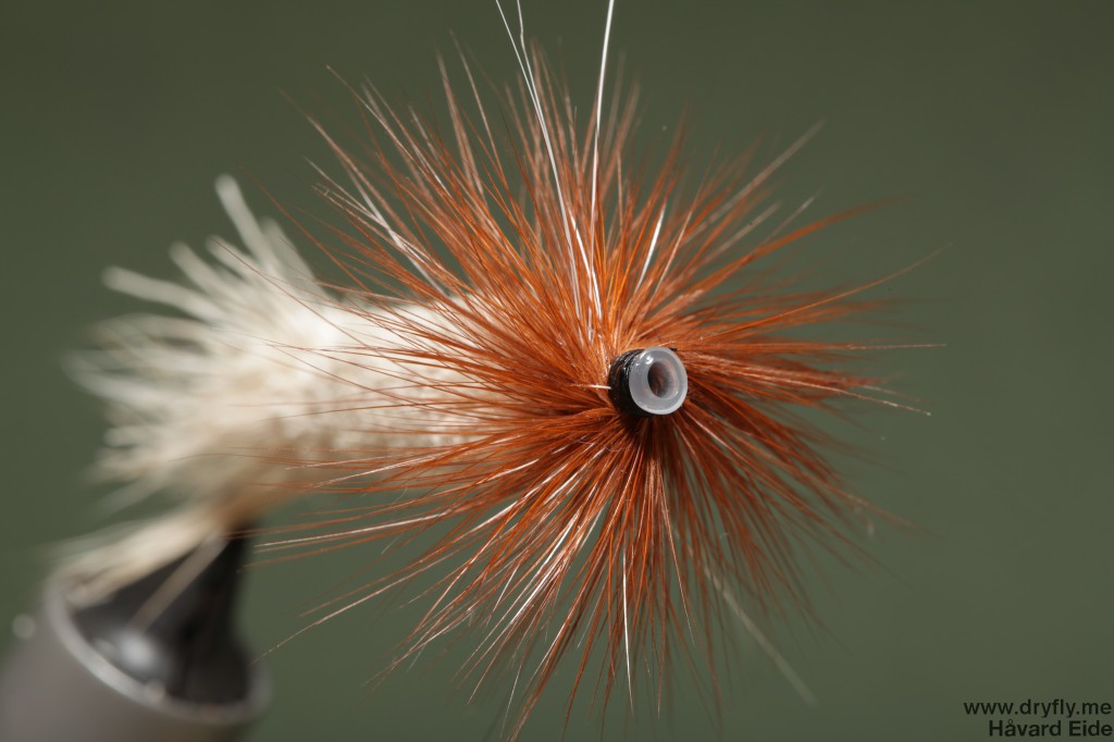 kvitre.no.2014.02.23.monster_caddis_front