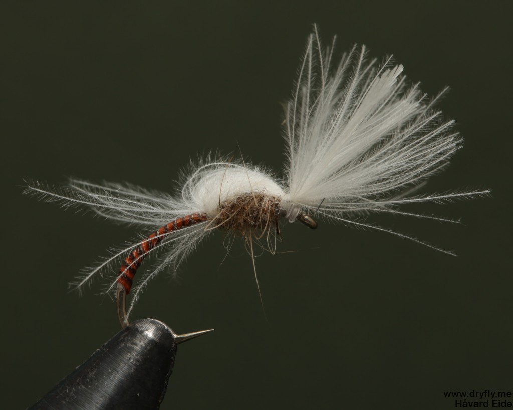 dryfly.me.2014.03.23.midge_emerger