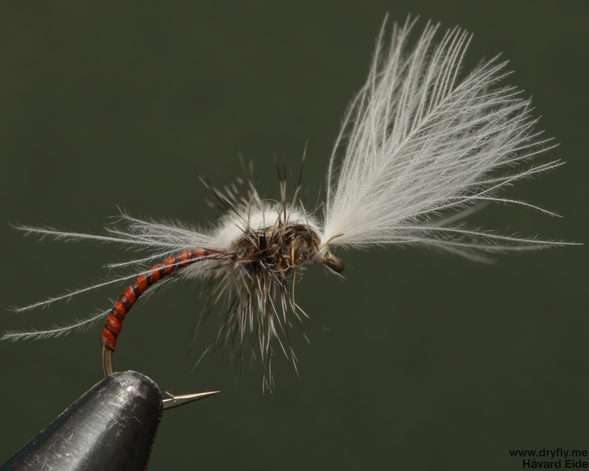 Midge Emerger Variant | flyfisher.org