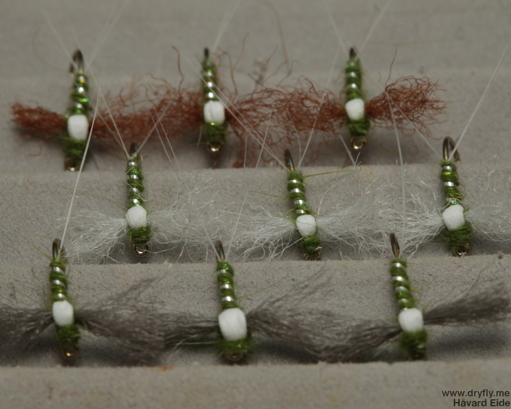 dryfly.me.2014.03.29.spent_family