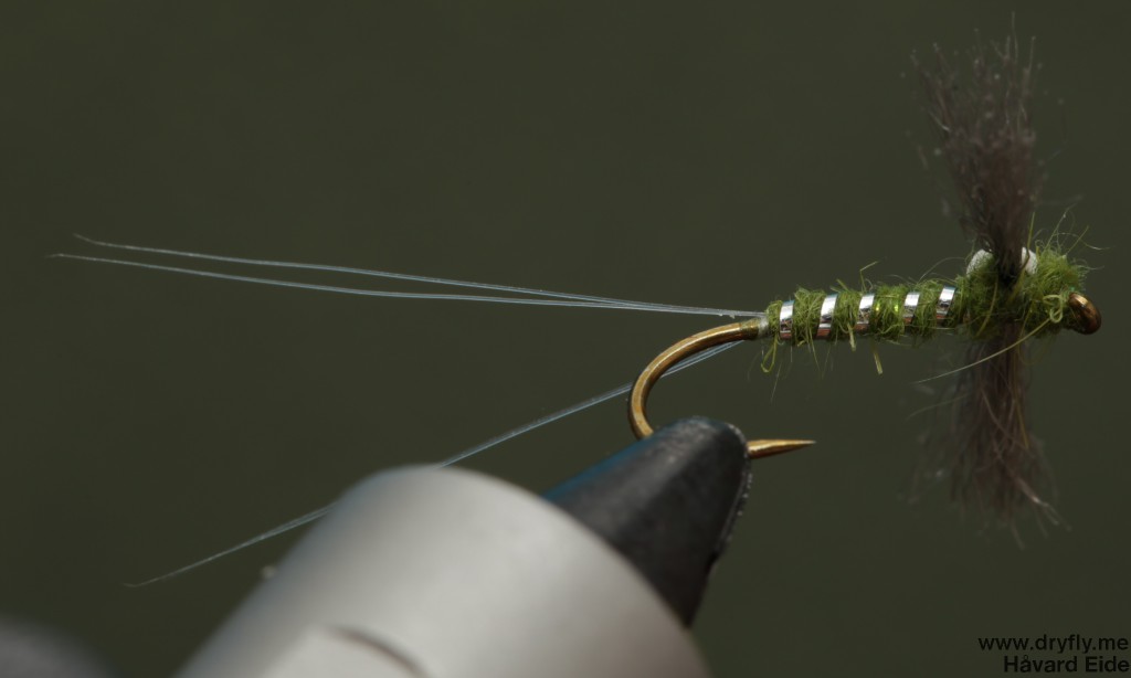 dryfly.me.2014.03.29.spent_green_botom