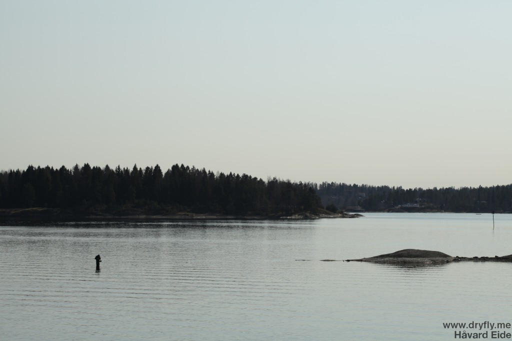 dryfly.me.2014.03.30.fishing1