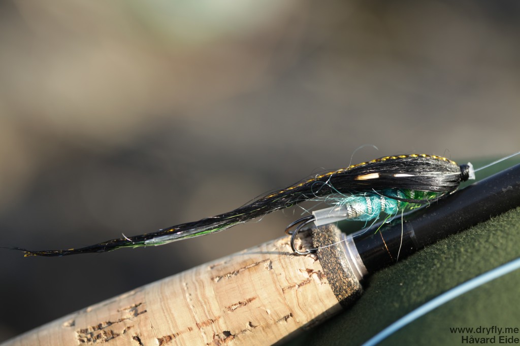 dryfly.me.2014.03.30.fishing3