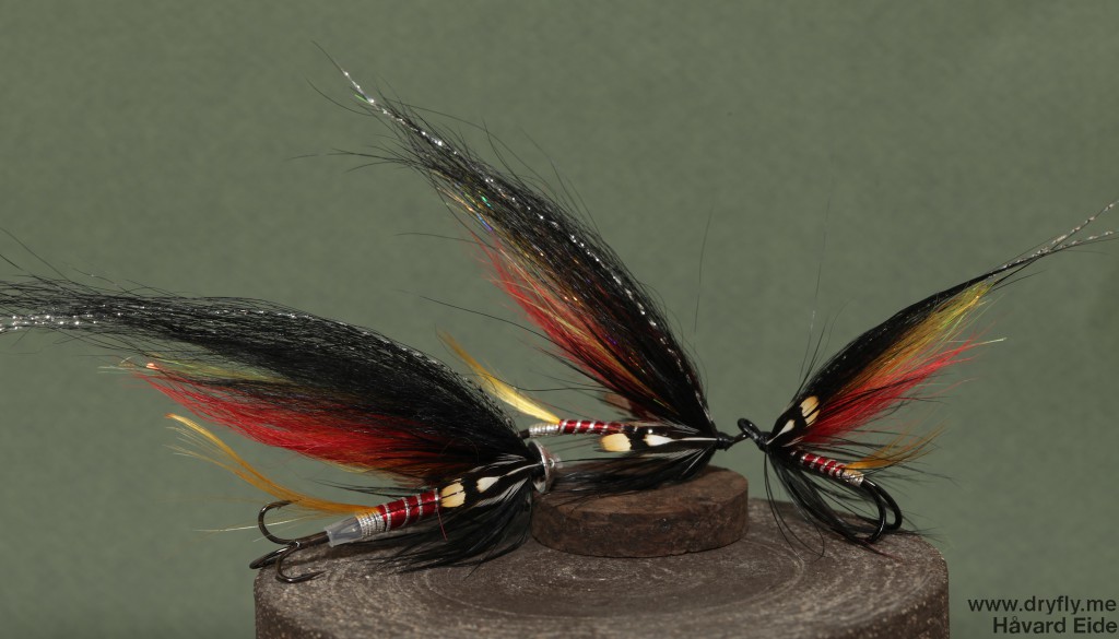 dryfly.me.2014.04.03.comets