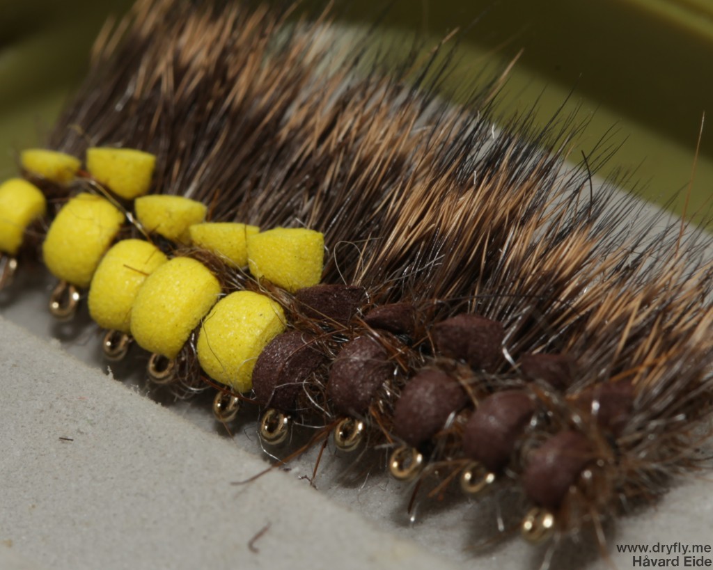 dryfly.me.2014.04.05.balloon_caddis_row