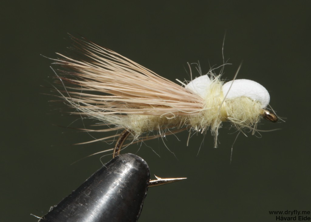 dryfly.me.2014.04.07.balloon_caddis_white_no_cdc