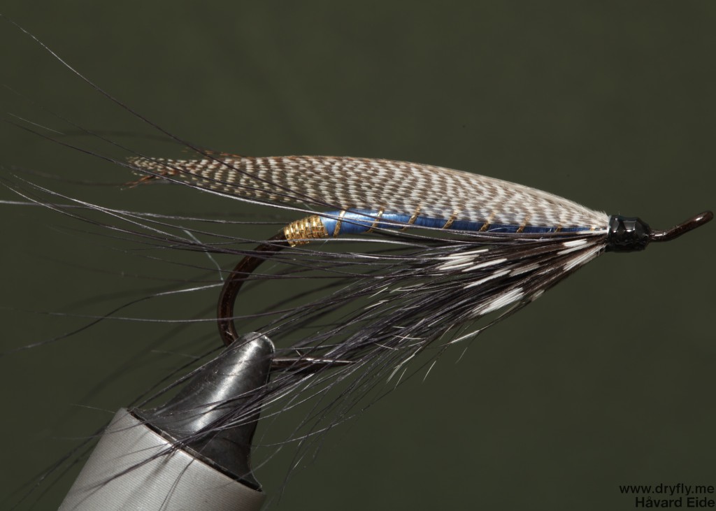 dryfly.me.2014.04.13.spey_blue