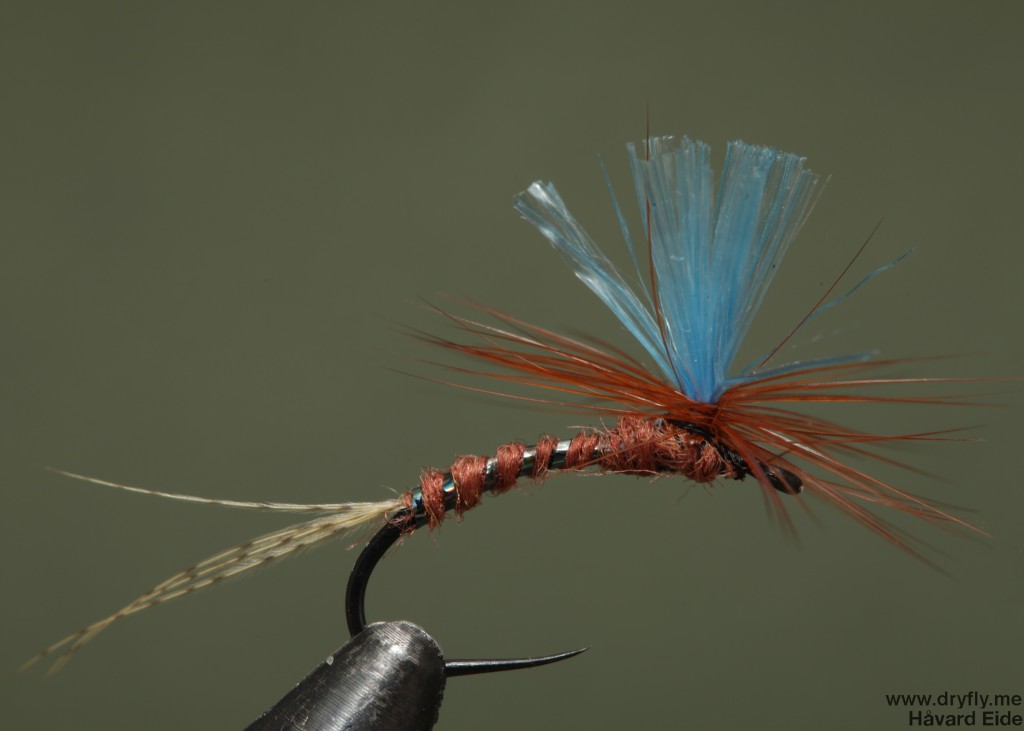 dryfly.me.2014.04.21.dust_broom_blue