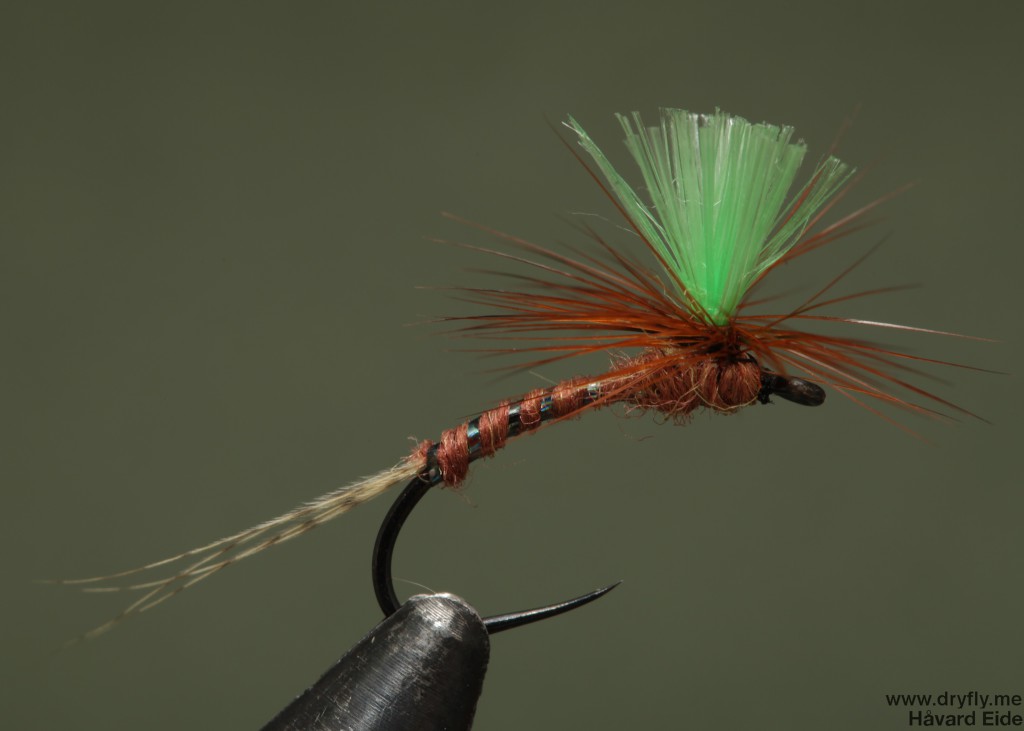 dryfly.me.2014.04.21.dust_broom_green