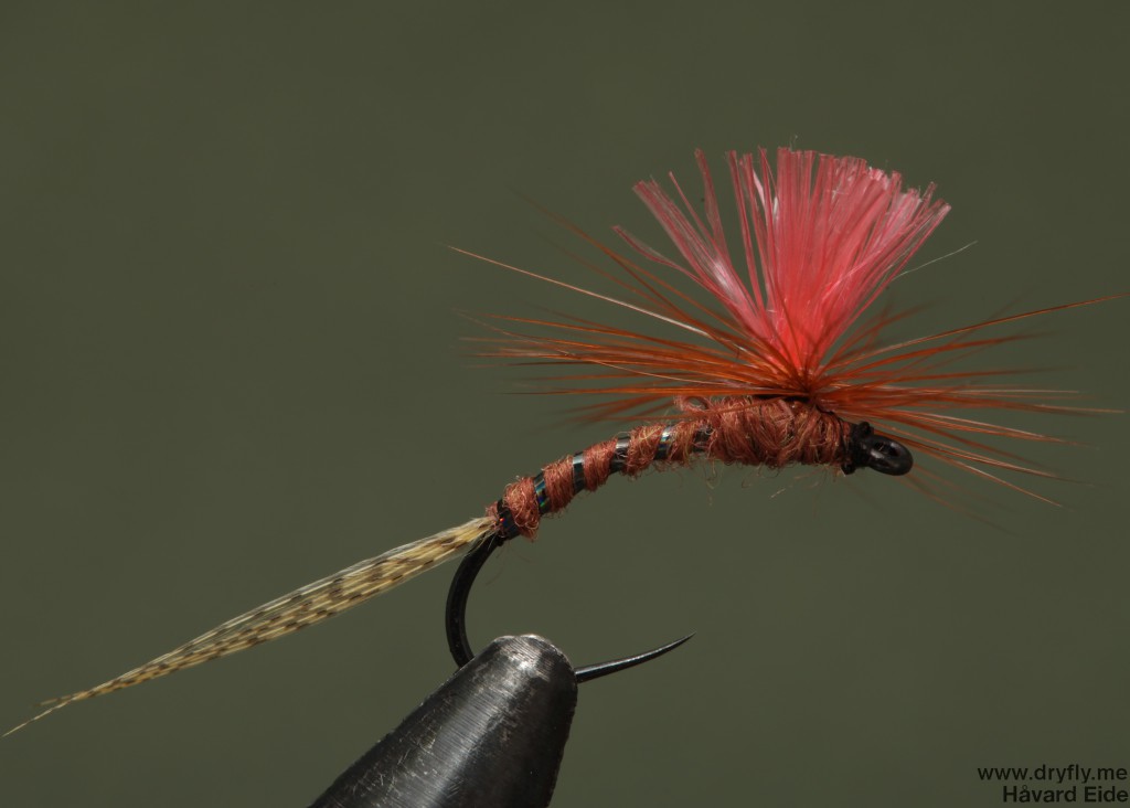 dryfly.me.2014.04.21.dust_broom_pink