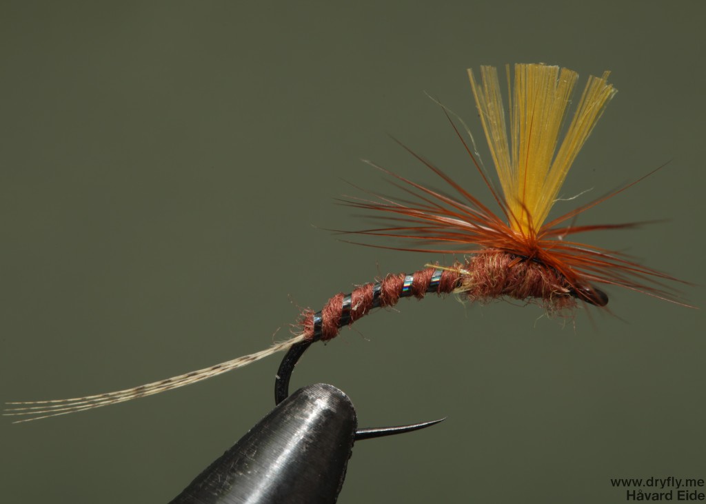 dryfly.me.2014.04.21.dust_broom_yellow