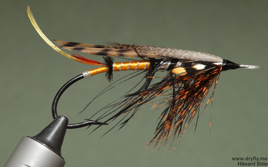 dryfly.me.2014.04.23.salmon_freestyle