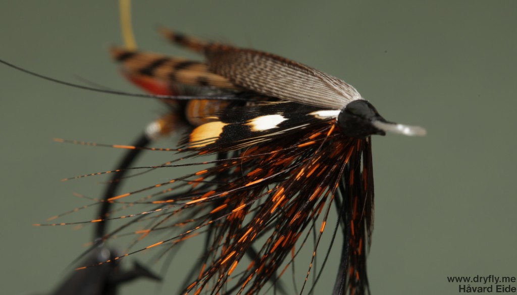 dryfly.me.2014.04.23.salmon_freestyle_front