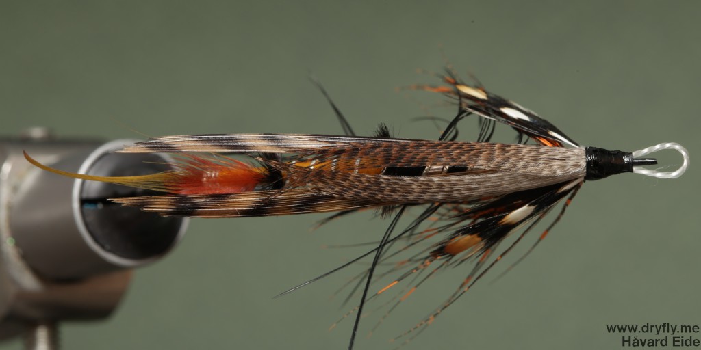 dryfly.me.2014.04.23.salmon_freestyle_top