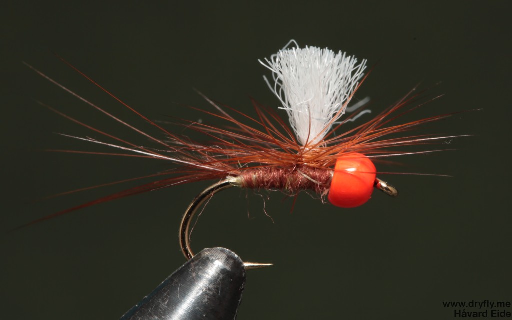 dryfly.me.2014-16.noooo
