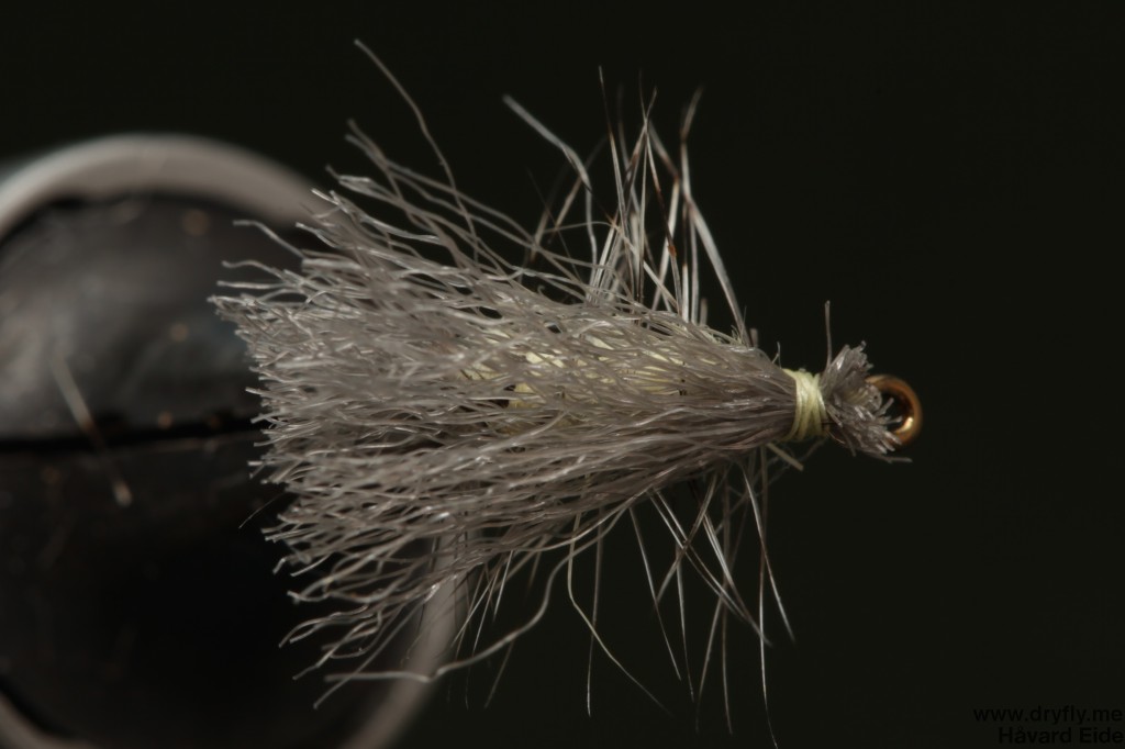 dryfly.me.2014.05.09.brun_caddis_top