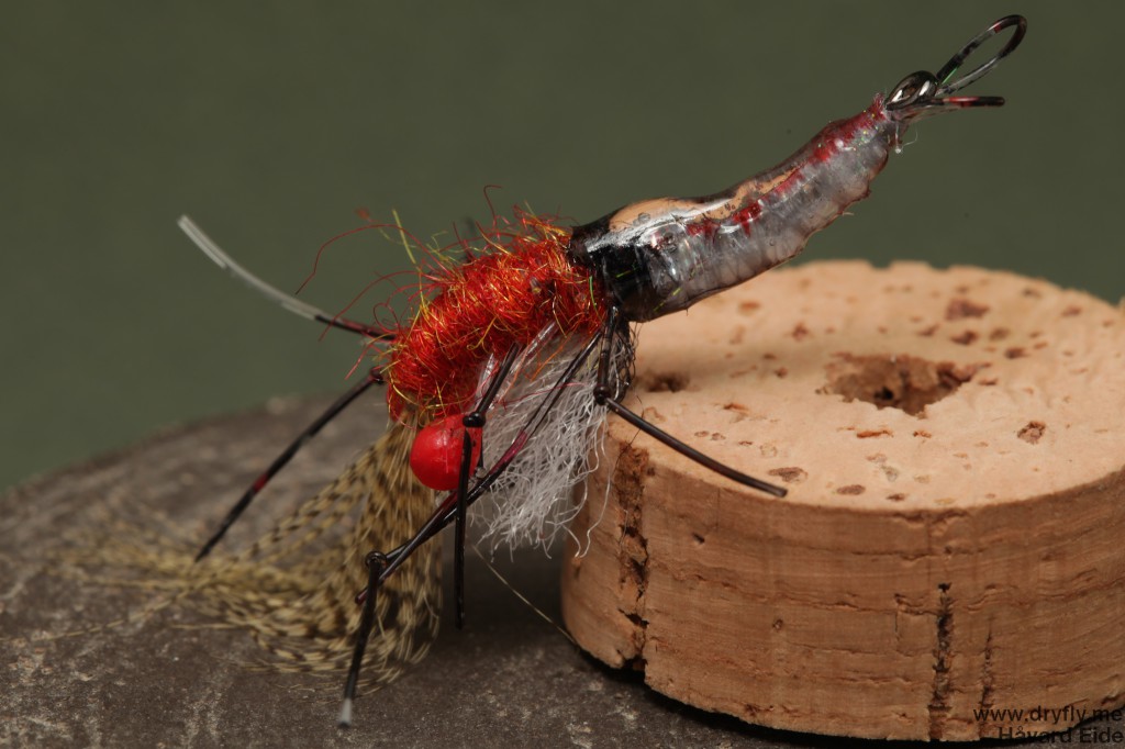 dryfly.me.2014.05.11.shrimp