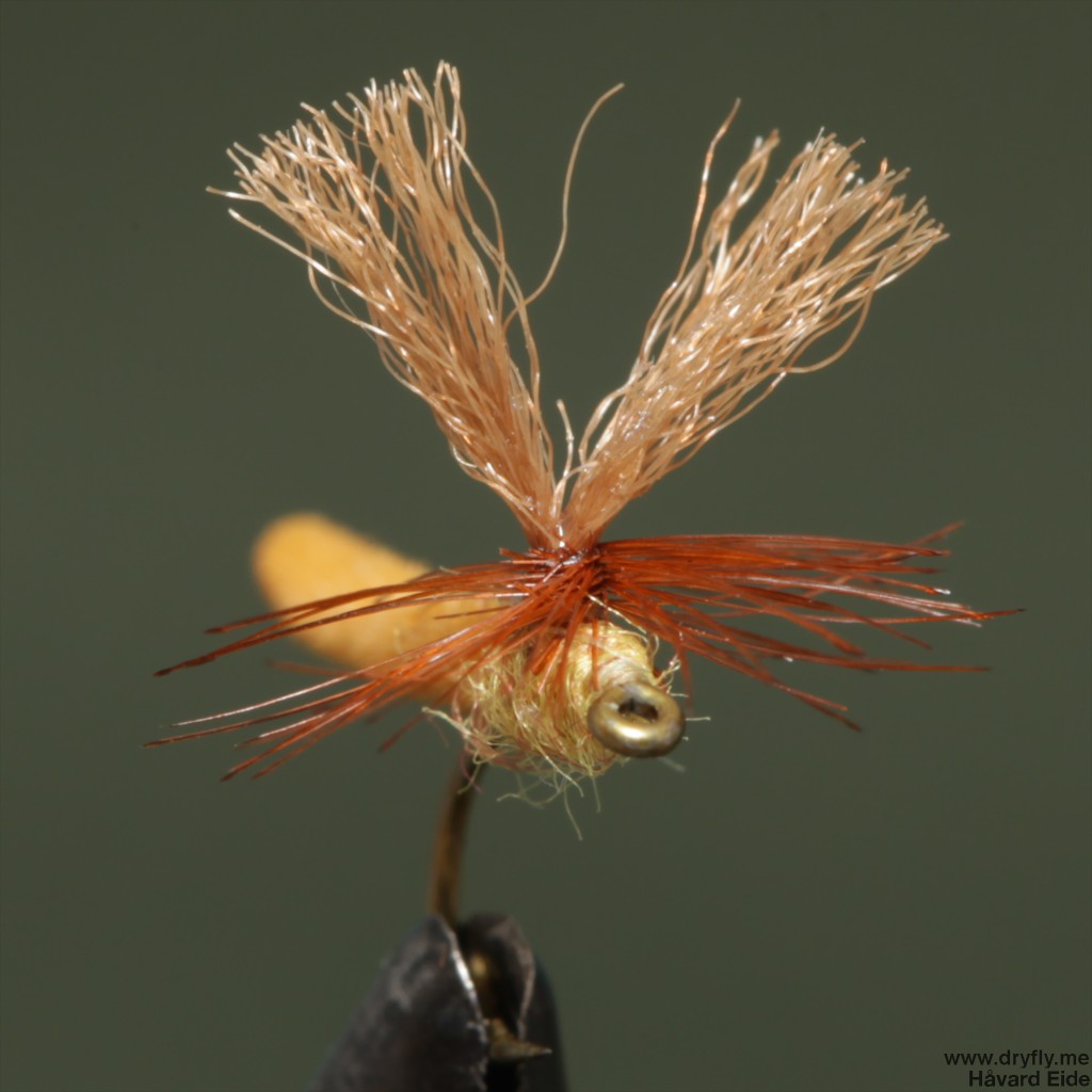 dryfly.me.2014.05.17.microdun_front