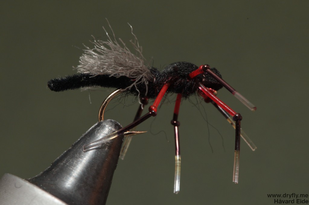 dryfly.me.2014.05.19.bibio